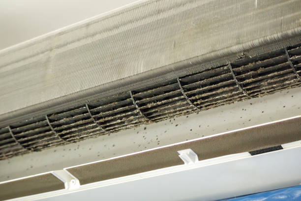 Best Commercial HVAC Duct Cleaning  in Silver Lake, KS